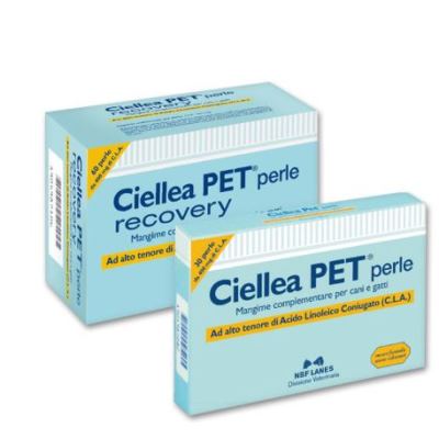 Ribes pet recovery a € 38,43 su Farmacia Pasquino